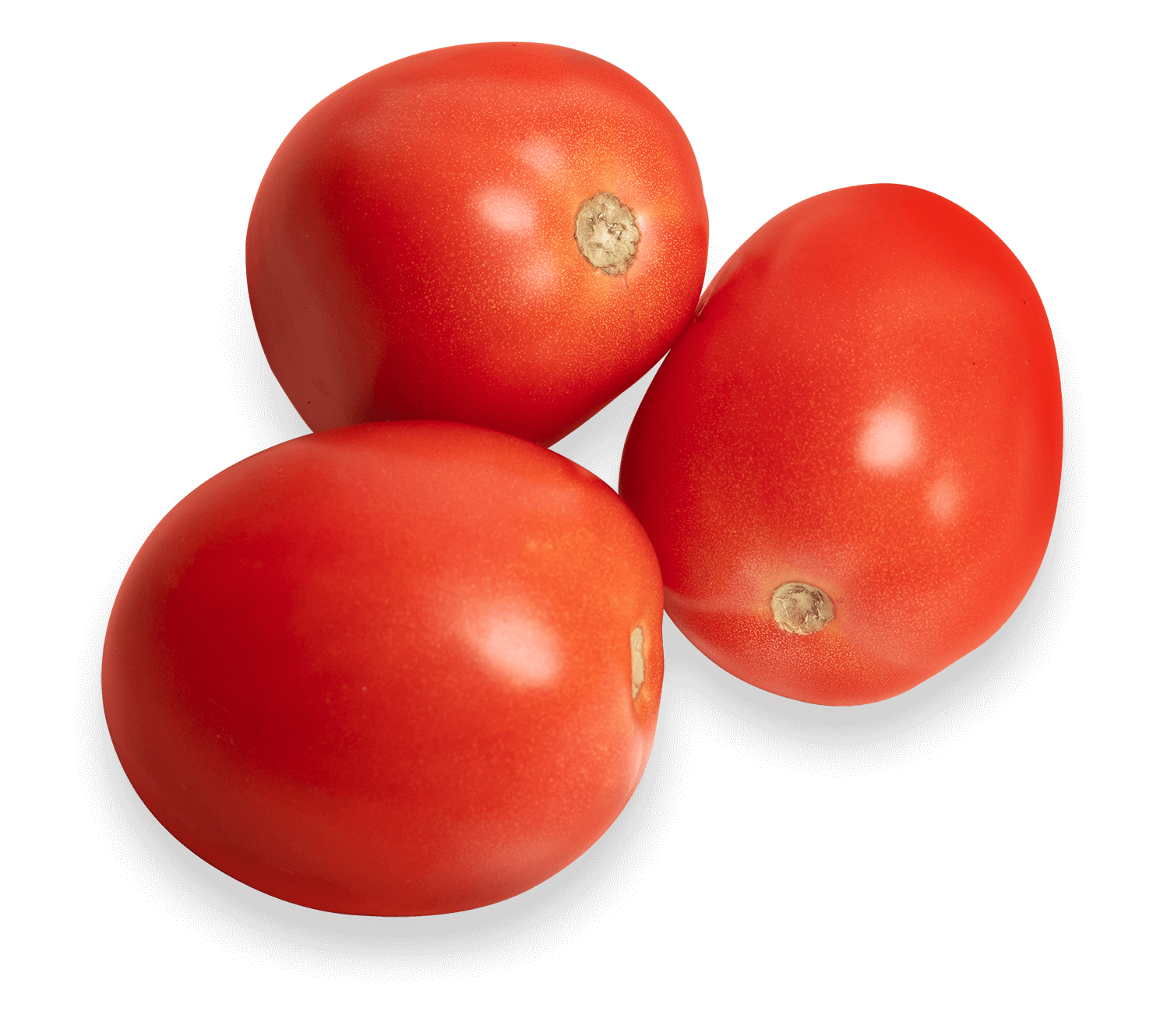 Agromart Roma Tomato