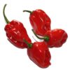 Habanero - Agromart