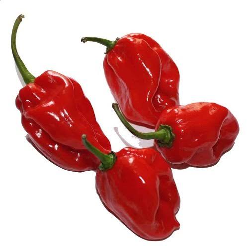Habanero - Agromart