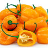 Habanero-agromart
